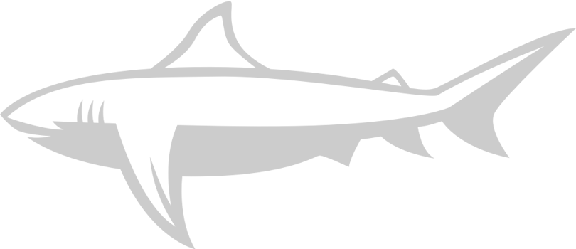 Shark vector