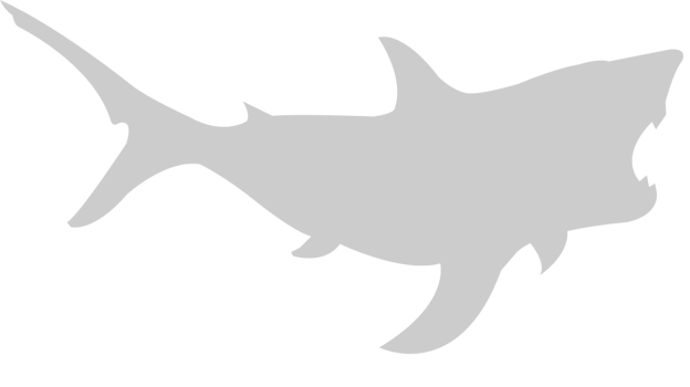 Shark vector
