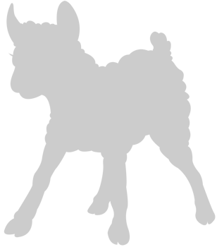 Sheep vector