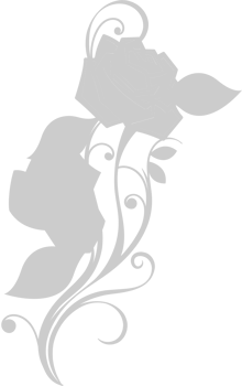 Rose vector