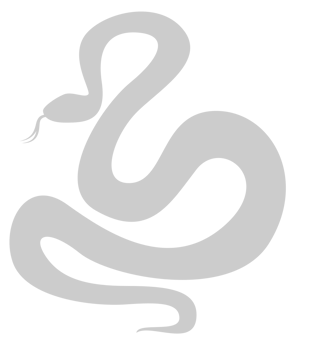 Snake vector
