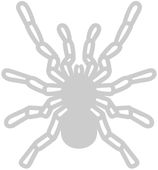 Spider vector