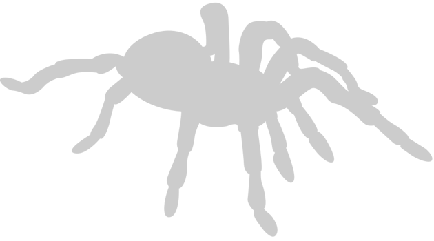 Spider vector