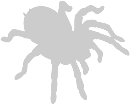 Spider vector