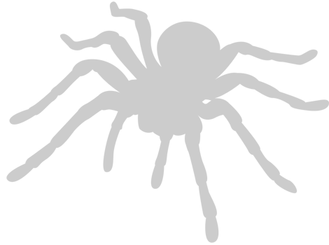 Spider vector