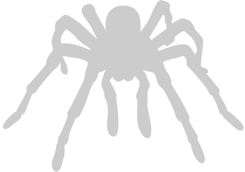 Spider vector