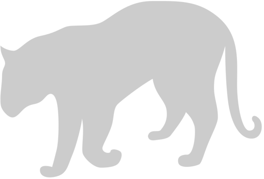 Big Cat vector