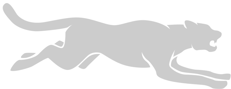 Big Cat vector
