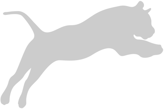 Big Cat vector