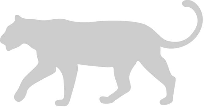 Big Cat vector