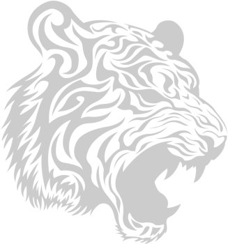 Tiger head vector