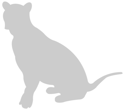 Big Cat vector