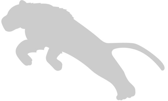 Jaguar vector