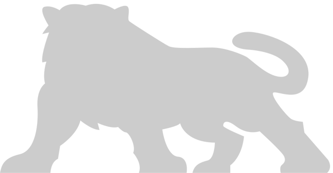 Big Cat vector