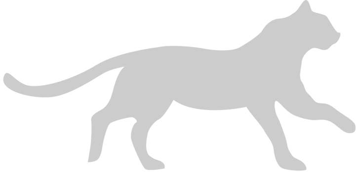 Big Cat vector