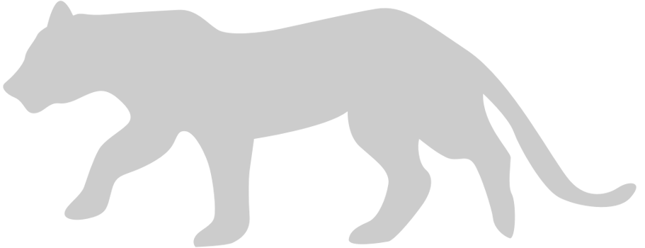 Big Cat vector