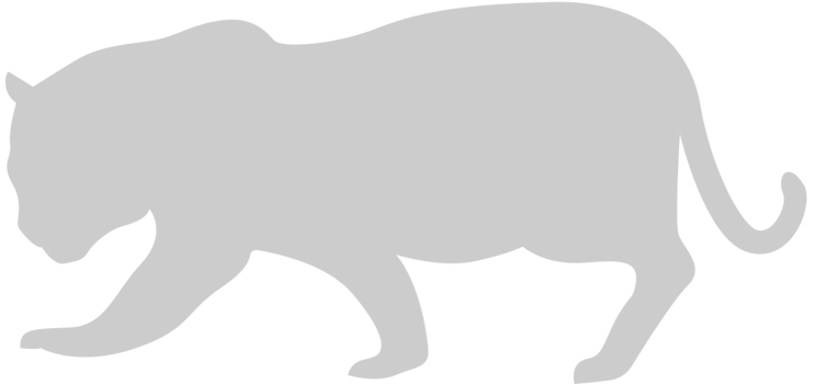 Big Cat vector