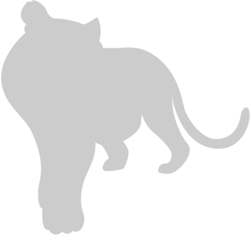Big Cat vector