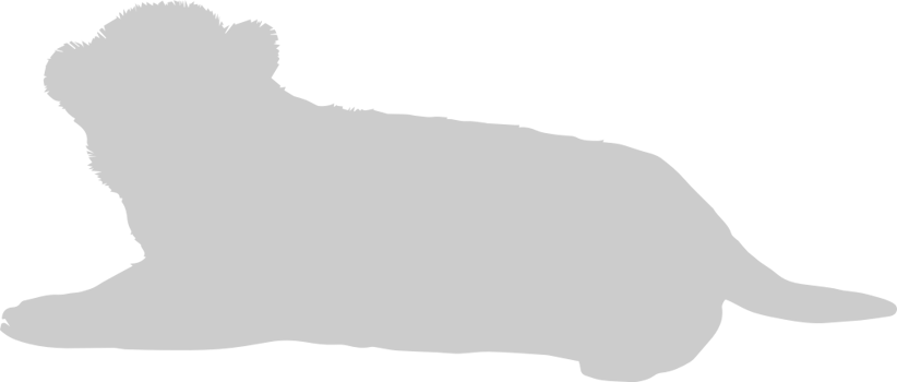 Tiger vector