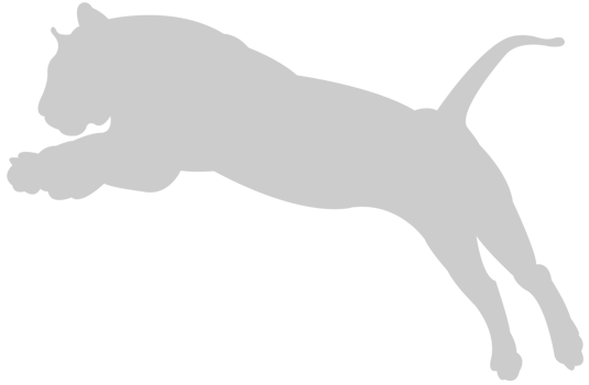 Big Cat vector