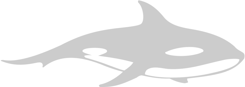 Whale vector