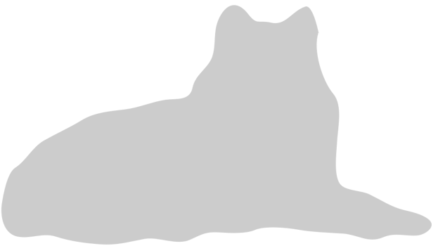 Wolf vector