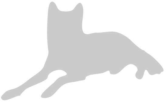 Wolf vector