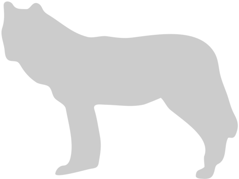 Wolf vector