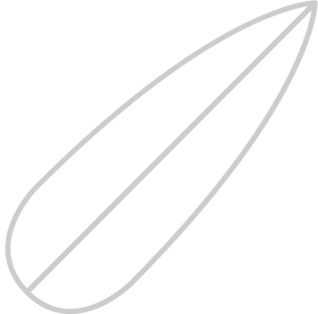 Summer Vacation Surfboard vector