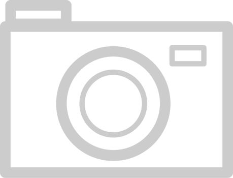 Summer Vacation Camera vector