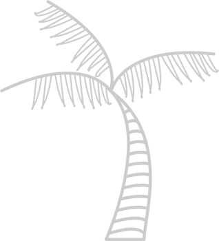 Summer Vacation Palm vector