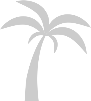 Summer Vacation Palm vector