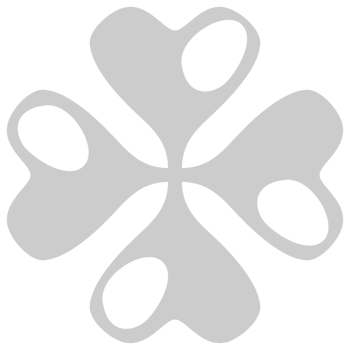 Shamrock  vector