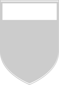 Shield vector