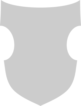 Shield vector