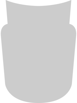 Shield vector