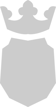 Shield crown vector