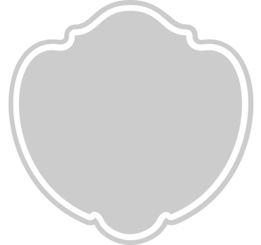 Shield vector