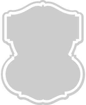 Shield vector