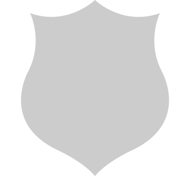 Shield vector