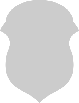 Shield vector