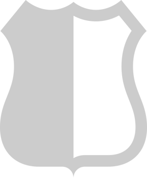 Shield vector