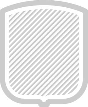 Shield diagonal  vector