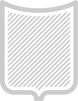 Shield diagonal  vector