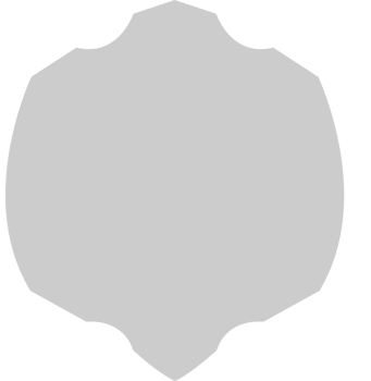 Shield vector