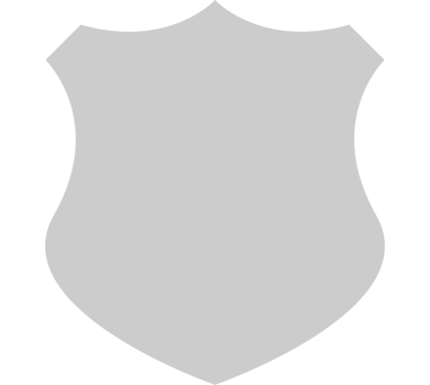 Shield vector