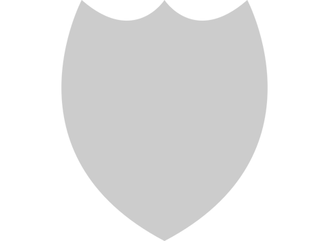 Shield vector