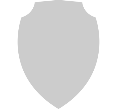 Shield vector