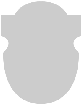 Shield vector