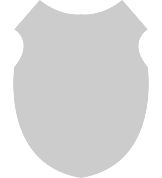 Shield vector
